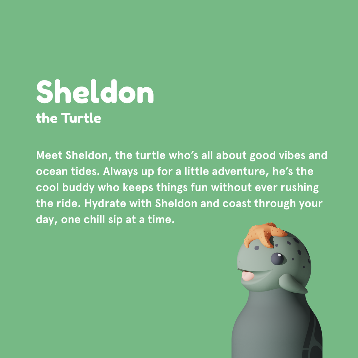 Turtle Bestie Bottle